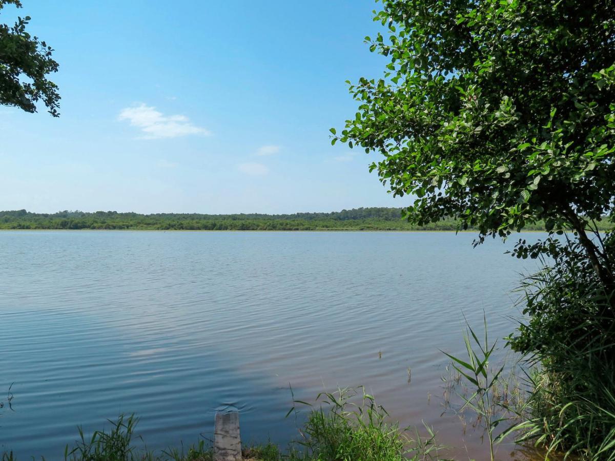 Holiday Home Cote Du Lac By Interhome Сустон Экстерьер фото